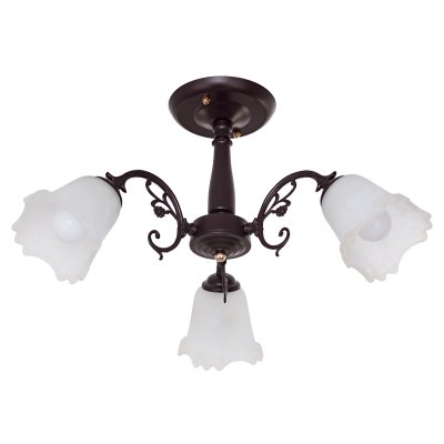 Потолочный светильник Экономсвет 457/3BR WT Потолочный светильник Экономсвет 457/3BR WT