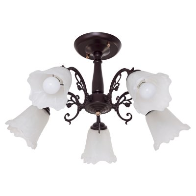 Потолочный светильник Экономсвет 457/5BR WT Потолочный светильник Экономсвет 457/5BR WT