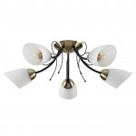 Люстра потолочная Odeon light 4592/5C