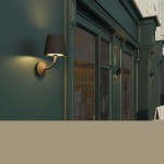 Уличный настенный светильник IP65 Odeon light 4608/7WL ELIN