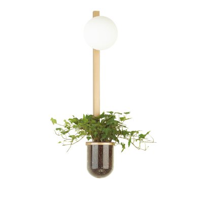 

Настенный светильник Odeon light 4682/1WB FLOWER, 4682/1WB