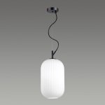 Подвесной светильник Odeon light 4751/1 ROOFI