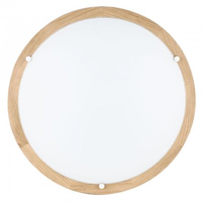 Настенно-потолочный светильник Spot Light Frida 4753074