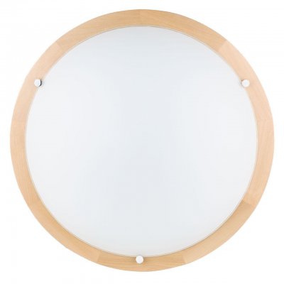 Настенно-потолочный светодиодный светильник Spot Light Frida 4753160