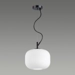 Подвесной светильник Odeon light 4753/1 ROOFI