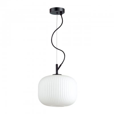 

Подвесной светильник Odeon light 4753/1 ROOFI, 4753/1