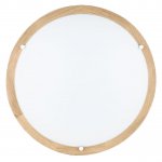 Настенно-потолочный светодиодный светильник Spot Light Frida 4754174