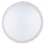 Настенно-потолочный светодиодный светильник Spot Light Frida 4754232