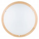 Настенно-потолочный светодиодный светильник Spot Light Frida 4754260