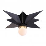 Потолочный светильник Star Ceiling Mount black Loft Concept 48.042-0
