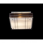 Светильник настенно-потолочный Globo 48089 KADAVU