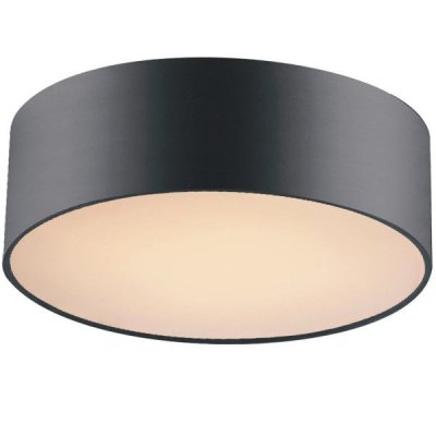 Потолочный светильник Cylindra Black 30 Loft Concept 48.126 Потолочный светильник Cylindra Black 30 Loft Concept 48.126