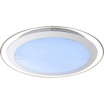 Потолочный настенно-светильник Globo 48365 NIKOLE