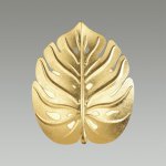 Настенный светильник Odeon light 4864/1W JUNGLE