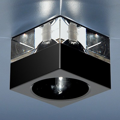 Светильник Elektrostandard 494 BK-WH черный/прозрачный