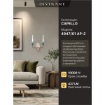 Бра Divinare CAPELLO 4947/01 AP-2
