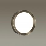 Настенно-потолочный светильник Odeon light 4948/30CL LUNOR