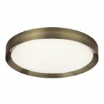 Настенно-потолочный светильник Odeon light 4948/60CL LUNOR