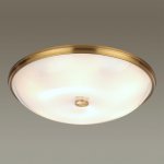 Настенно-потолочный светильник Odeon light 4956/6 PELOW