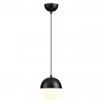 Подвесной светильник Odeon light 4958/1 PINGA