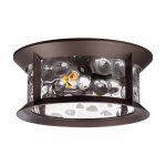 Ландшафтный потолочный светильник Odeon light 4961/2C MAVRET