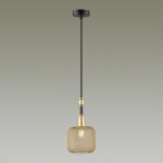 Подвесной светильник Odeon light 4975/1 LECOLA