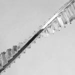 Светильник потолочный Mw light 498017101 Гослар