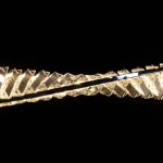 Светильник потолочный Mw light 498017101 Гослар