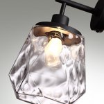 Светильник настенный бра Odeon Light 4996/1W Capra