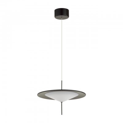 Подвесной светильник Odeon Light 5012/16L Steka Подвесной светильник Odeon Light 5012/16L Steka