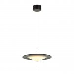 Подвесной светильник Odeon Light 5012/16L Steka