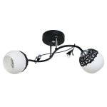 Потолочный светильник Экономсвет 50193/2BK WT