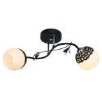 Потолочный светильник Экономсвет 50193/2BK WT