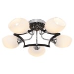 Люстра еврокаркас Экономсвет 50226/5CR BK WT