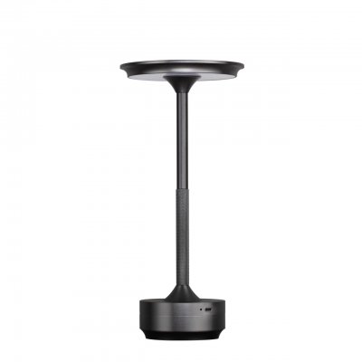 Настольная лампа Odeon Light 5034/6TL L-VISION