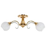 Потолочный светильник Экономсвет 50349/2FGD+AN WT