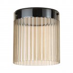 Потолочный светильник Odeon Light 5047/20LC L-VISION