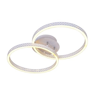 Люстра светодиодная Экономсвет 50504/2WT WT