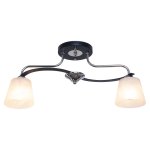 Светильник ЭкономСвет 50584/2CR+BK WT