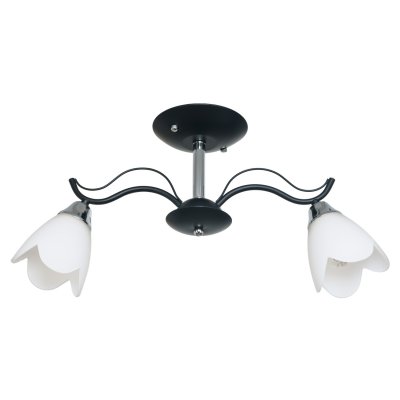 Потолочный светильник Экономсвет 50588/2CR+BK WT