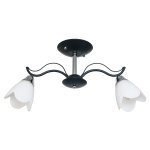 Потолочный светильник Экономсвет 50588/2CR+BK WT