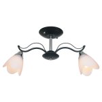 Потолочный светильник Экономсвет 50588/2CR+BK WT