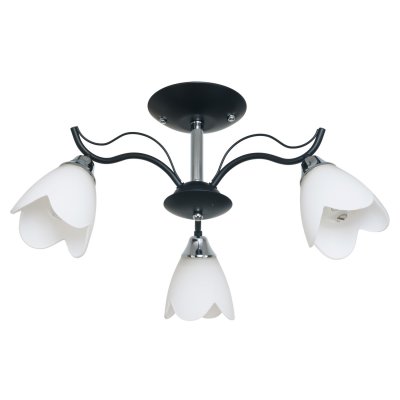 Люстра современная Экономсвет 50588/3CR+BK WT