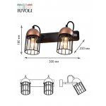 Светильник настенно-потолочный спот Rivoli Anemon 5062-702 поворотный 2 х E27 40 Вт лофт - кантри