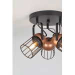 Светильник настенно-потолочный спот Rivoli Anemon 5062-733 поворотный 3 х E27 40 Вт лофт - кантри