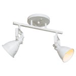 Спотовый светильник Экономсвет 50620/2FGD+WT FGD+WT