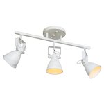 Спотовый светильник Экономсвет 50620/3FGD+WT FGD+WT