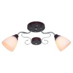 Потолочный светильник 50640/2CR+BR WT Экономсвет