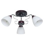 Потолочный светильник 50640/3CR+BR WT Экономсвет