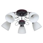 Люстра эконом Экономсвет 50640/5CR+BR WT